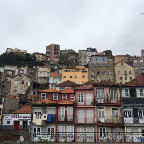 Houses along the Porto river